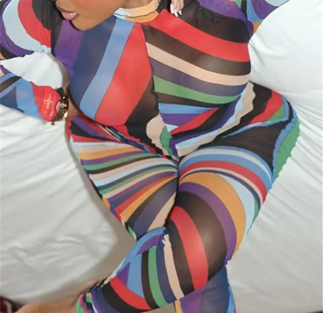 Multi Color Mesh One piece